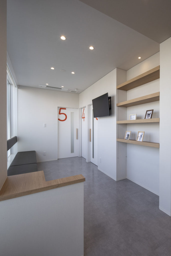 当院はキャットフレンドリークリニックに認定されております。