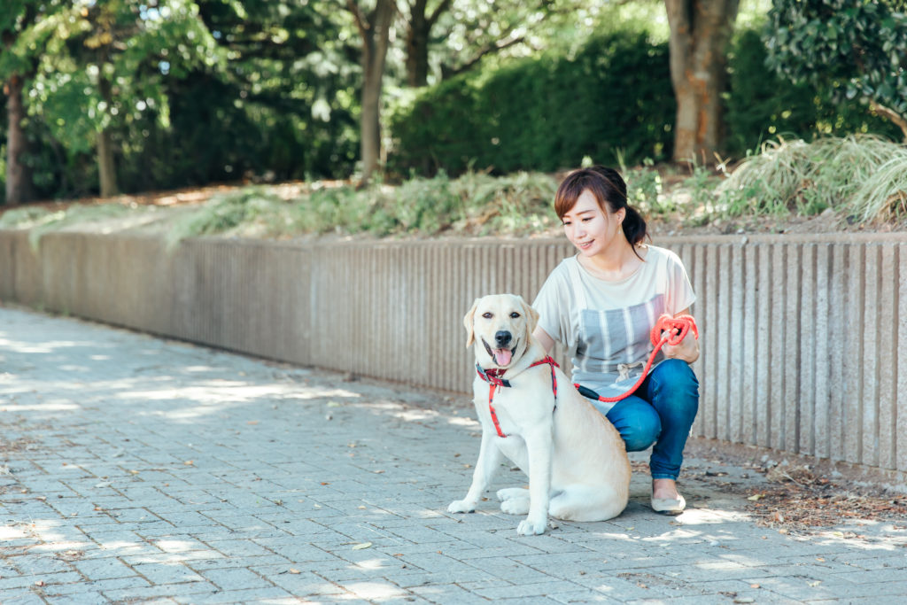 生活スタイルのご相談