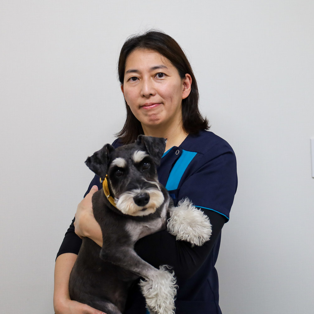 獣医師　今田 恵