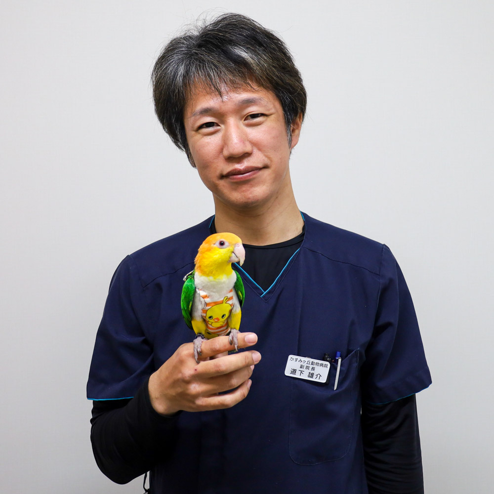 副院長 獣医師　道下 雄介