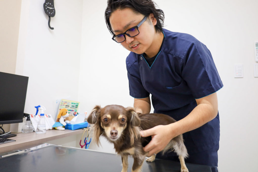 正しい診療と治療